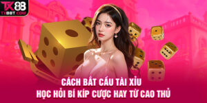 Cách Bắt Cầu Tài Xỉu | Học Hỏi Bí Kíp Cược Hay Từ Cao Thủ