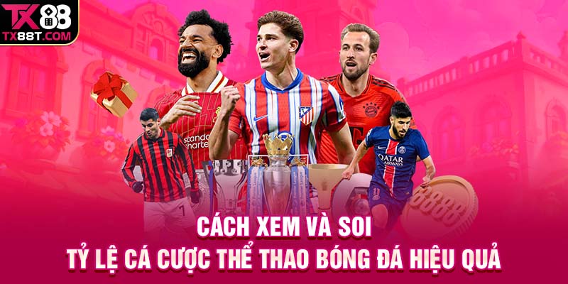 Cách Xem Và Soi Tỷ Lệ Cá Cược Thể Thao Bóng Đá Hiệu Quả