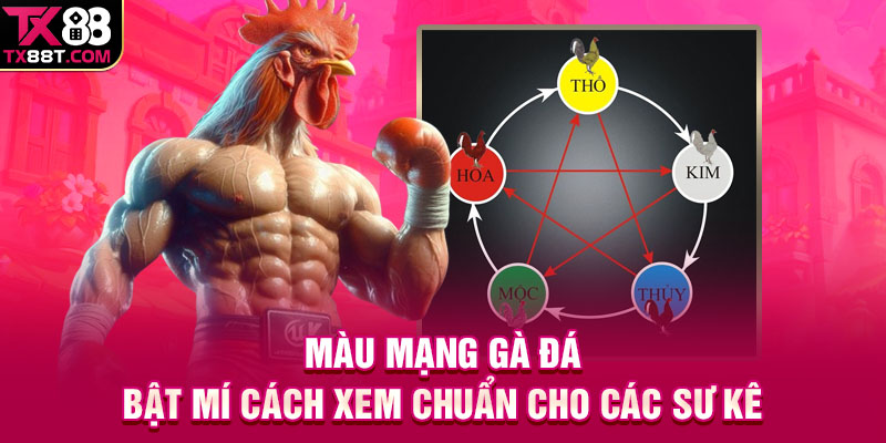 Màu Mạng Gà Đá | Bật Mí Cách Xem Chuẩn Cho Các Sư Kê