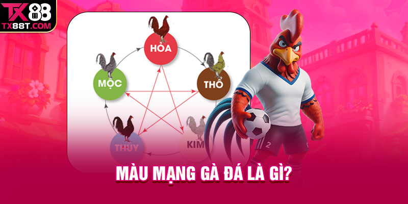 Màu mạng gà đá là gì?