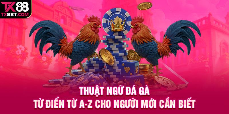 Thuật Ngữ Đá Gà | Từ Điển Từ A-Z Cho Người Mới Cần Biết