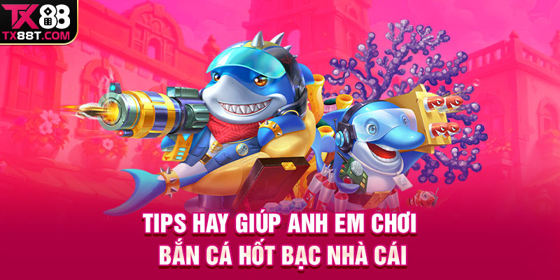 Tips hay giúp anh em chơi bắn cá hốt bạc nhà cái
